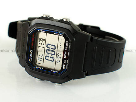 Casio W 800H 1AVES Zegarek Męski