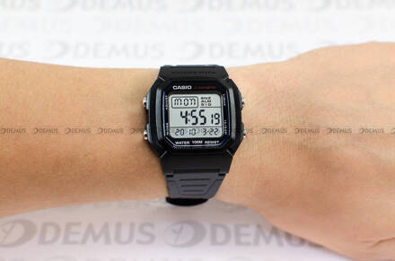 Casio W 800H 1AVES Zegarek Męski