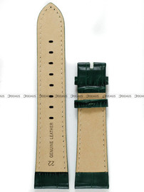 Skórzany pasek do zegarka Aviator Aviator V.3.32, 22 mm, Zielony