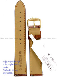 Pasek skórzany z aligatora do zegarka - Hirsch London 04207079-1-18 - 18 mm