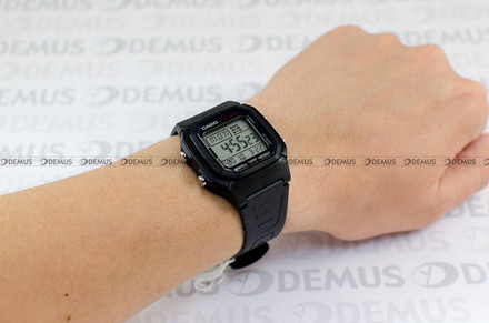 Casio W 800H 1AVES Zegarek Męski