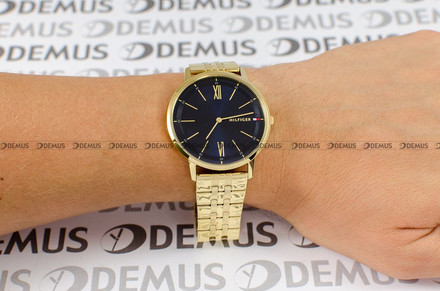 Zegarek Tommy Hilfiger 1791513 Męski, Kwarcowy, Wskazówkowy