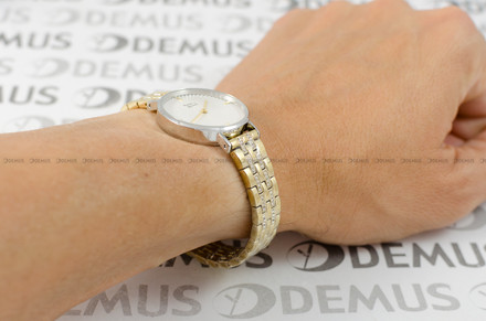 Zegarek Damski Pierre Ricaud P22170.2113Q