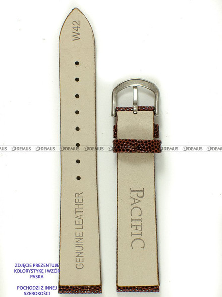 Skórzany pasek do zegarka Pacific W42.20.2, 20 mm, Brązowy