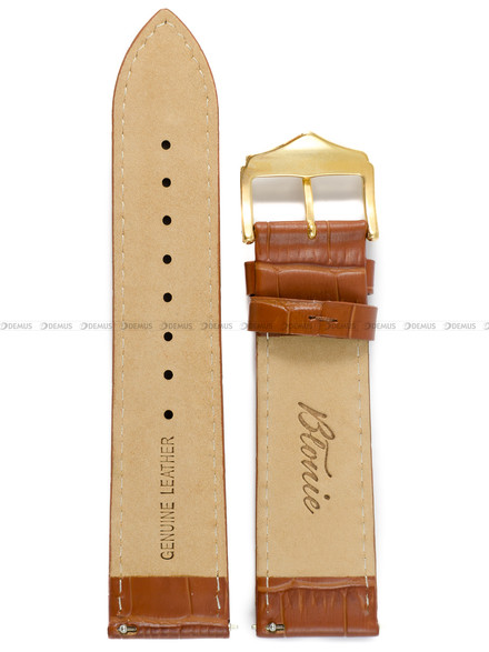 Pasek skórzany do zegarka Błonie Delfin - 22.03-ZŁ - 22 mm - Brązowy