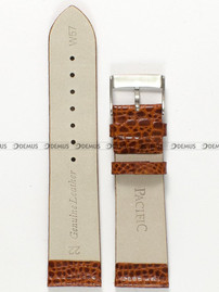 Skórzany pasek do zegarka Pacific W57.22.3, 22 mm, Brązowy